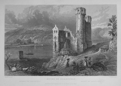 Views of the Rhine by William Tombleson